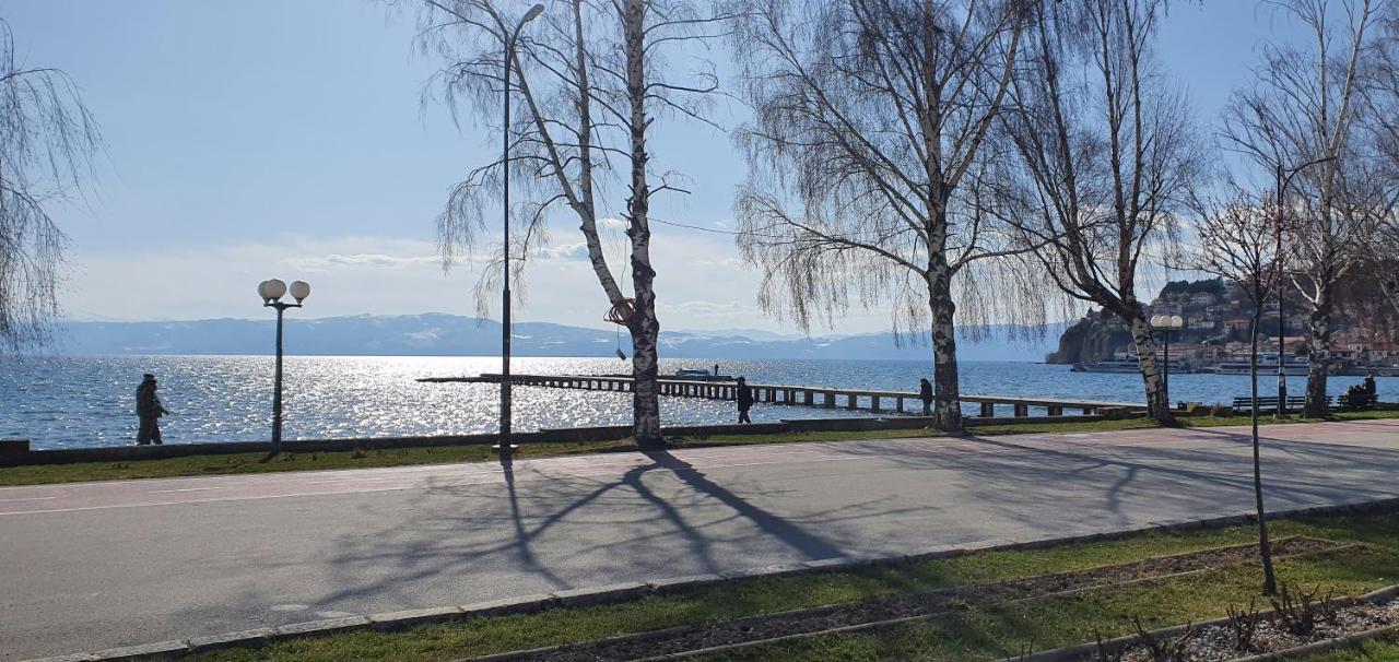 Svir Skyline Apartment No 39 Ohrid Buitenkant foto